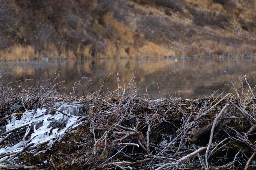 Why It Matters: Rethinking Who Counts as an Engineer (Image Credits: Unsplash)