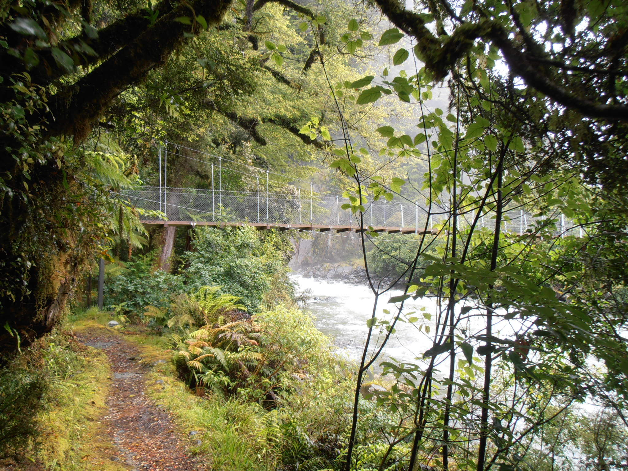 The Hidden Clues (Image Credits: Wikimedia)