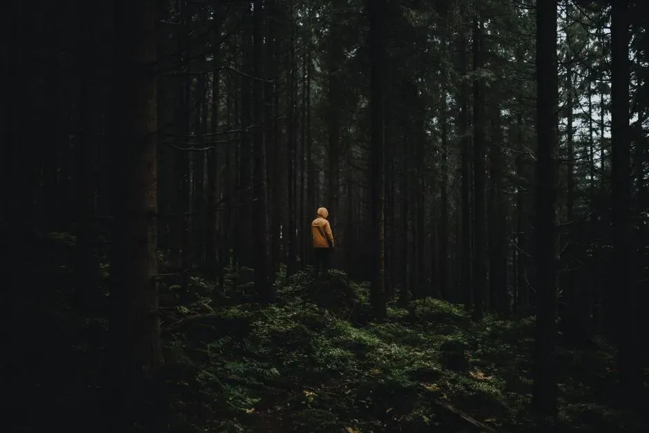 Why Being Alone Out There Feels So Unsettling (Image Credits: Pexels)