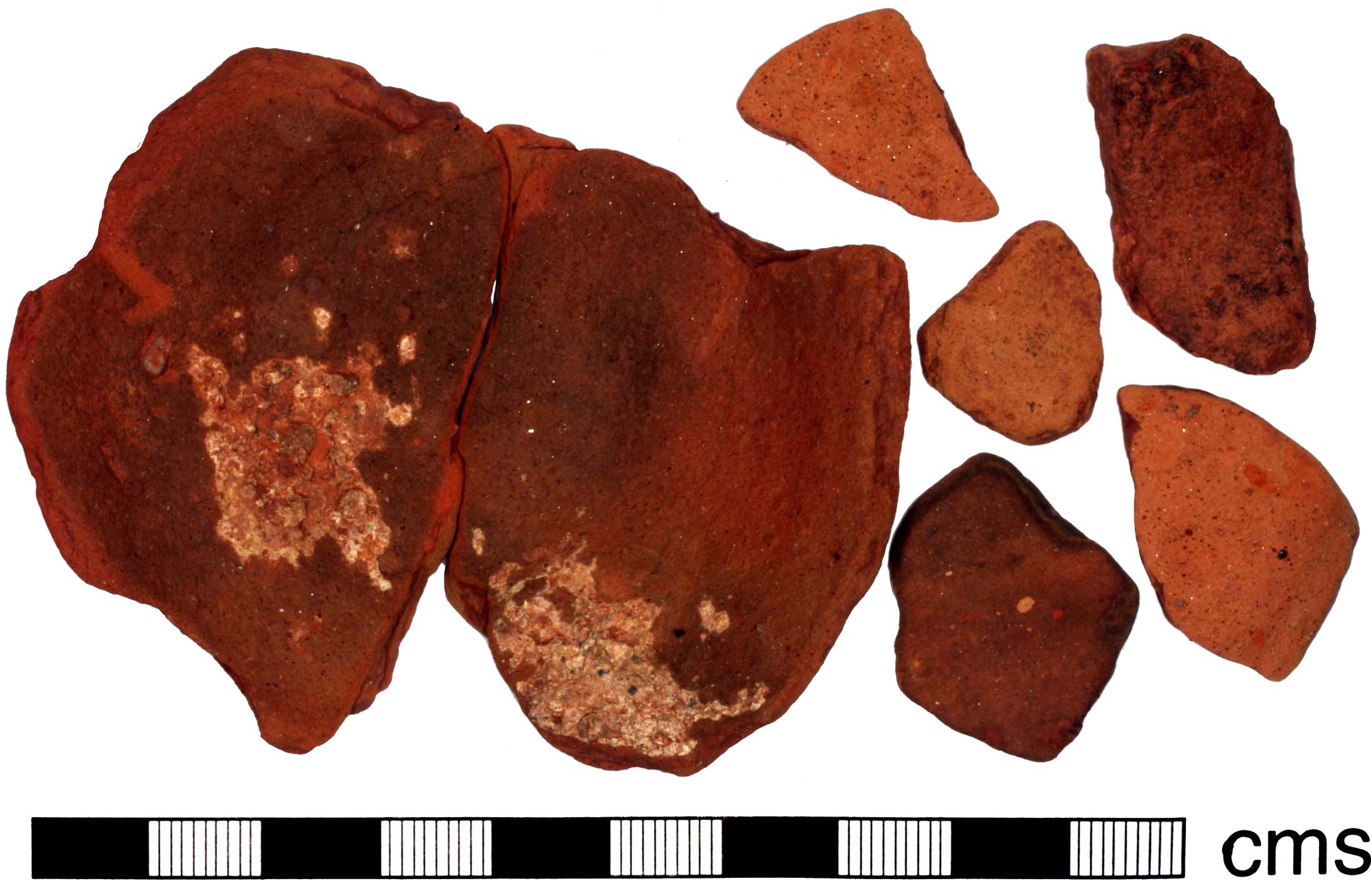 Lessons from the Sea (Image Credits: Wikimedia)