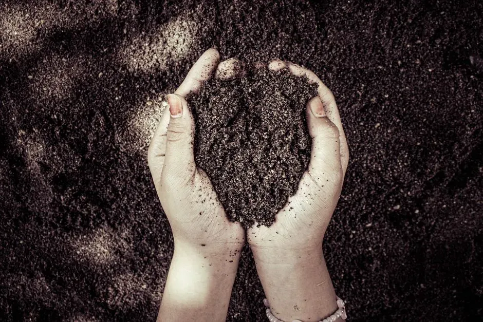 #6 - Add Sand to Clay Soil to Improve Drainage (Image Credits: Pexels)