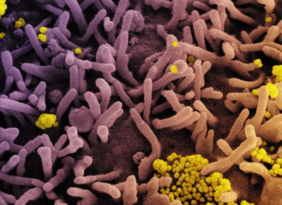 Masters of Recycling: Decomposers and Nutrient Cyclers (Image Credits: Unsplash)