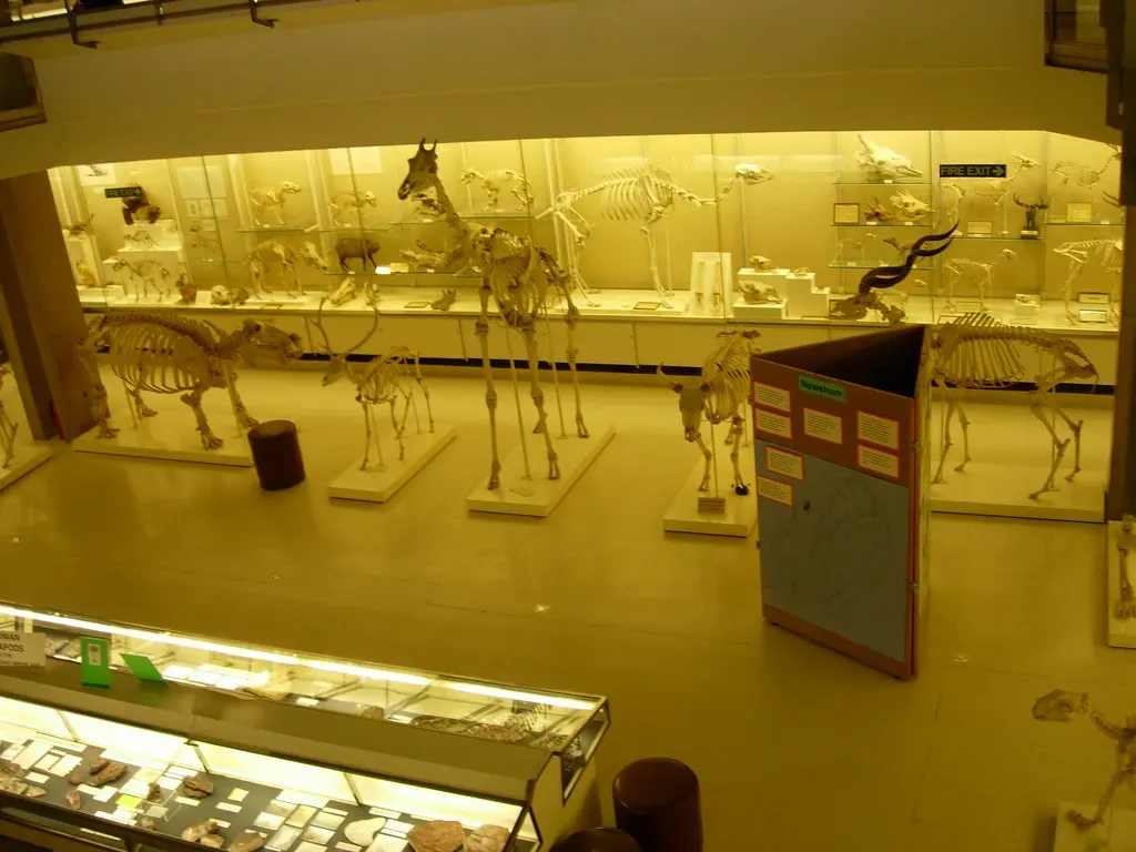 #3 - Lab Animal Skeletons That End Up on Display (MVP Cambridge Meetup, Flickr, CC BY-SA 2.0)