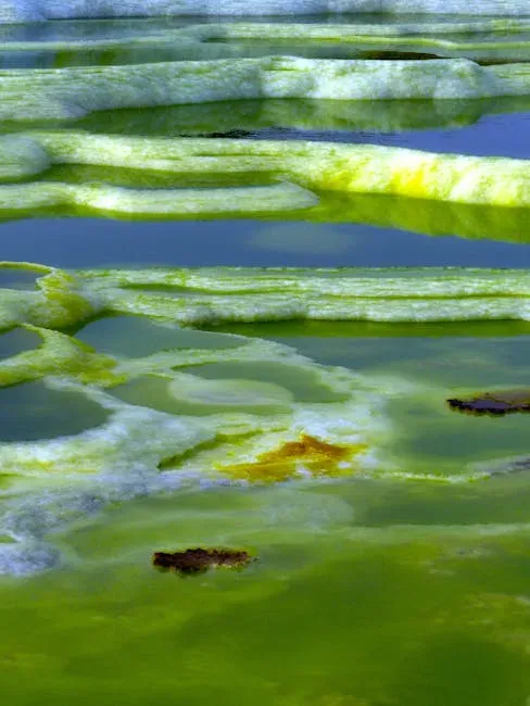 You Watched Oceans Turn Acidic and Poisonous (Image Credits: Pexels)