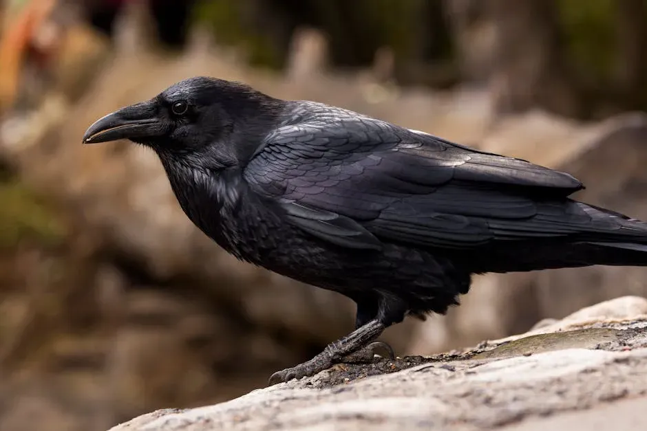 6. The Raven: Philosopher of the Bird World (Image Credits: Pexels)