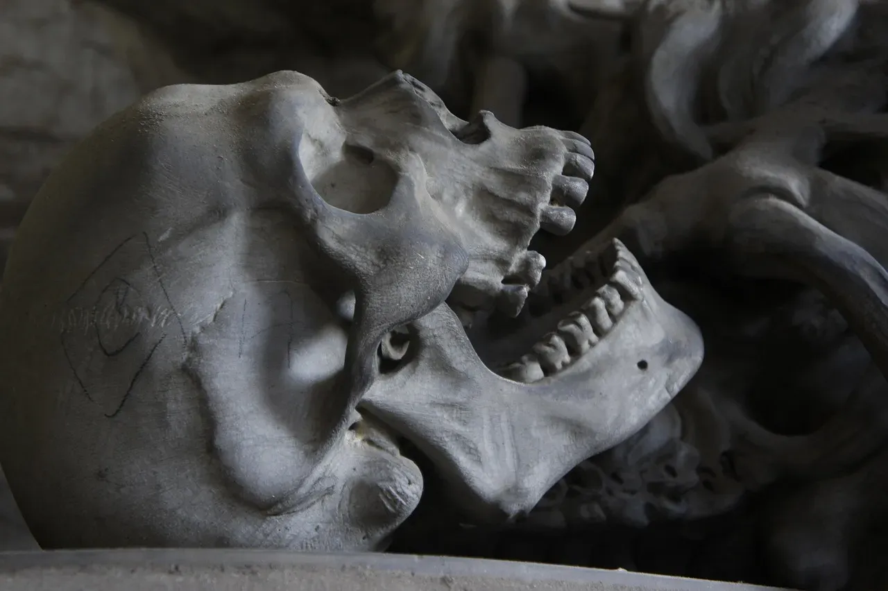 #1 - Teeth Expose the Brutal Inequality Hidden in Ancient Societies (Image Credits: Pixabay)