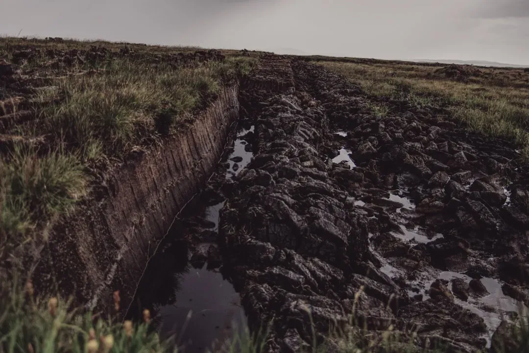 #6: Sediment Build-Up Buries the Original Trench Shape (Image Credits: Unsplash)