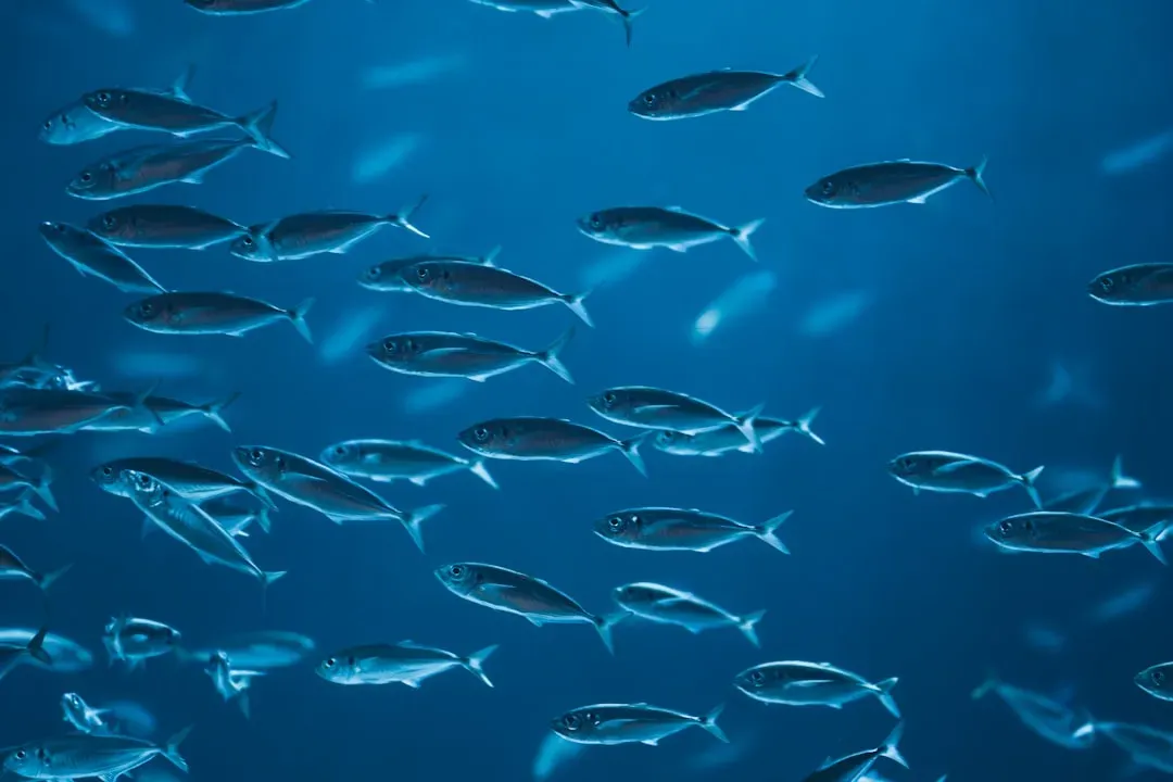 The Surprising Case for Fish Feeling Something Like Pain (Image Credits: Unsplash)