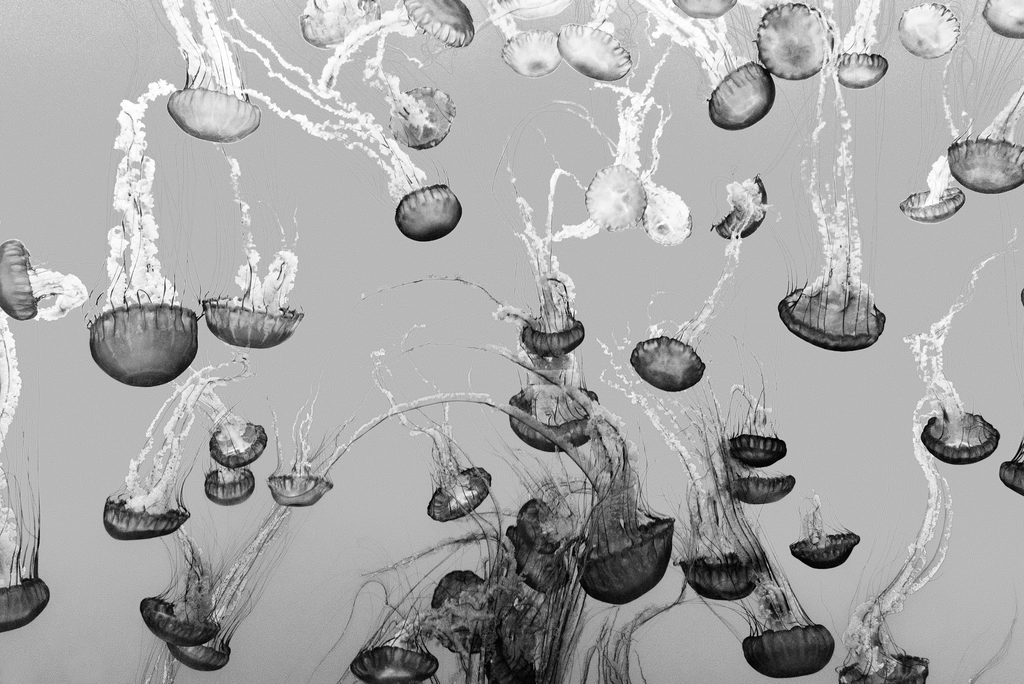 Conclusion (Image Credits: Rawpixel)