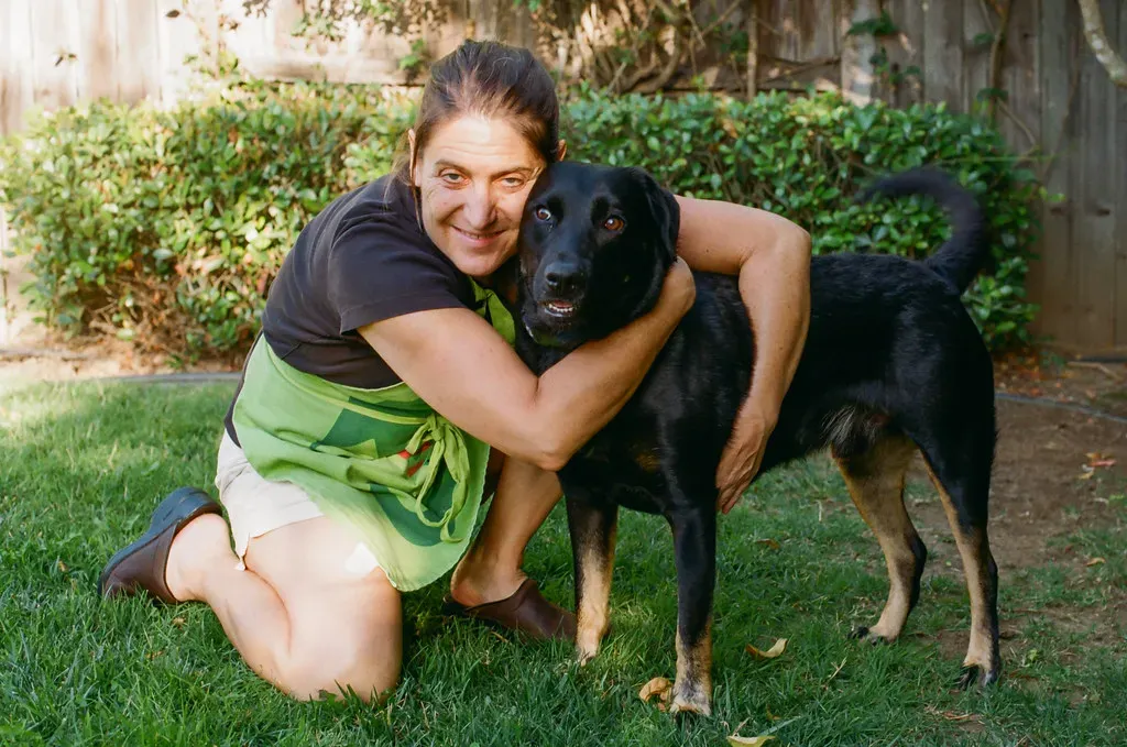 Opinionated Conclusion: The Dog Is Not Overreacting - We Are Underreacting (beltz6, Flickr, CC BY 2.0)