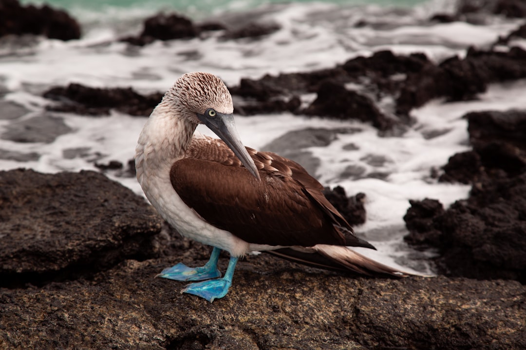 Conclusion (Image Credits: Unsplash)