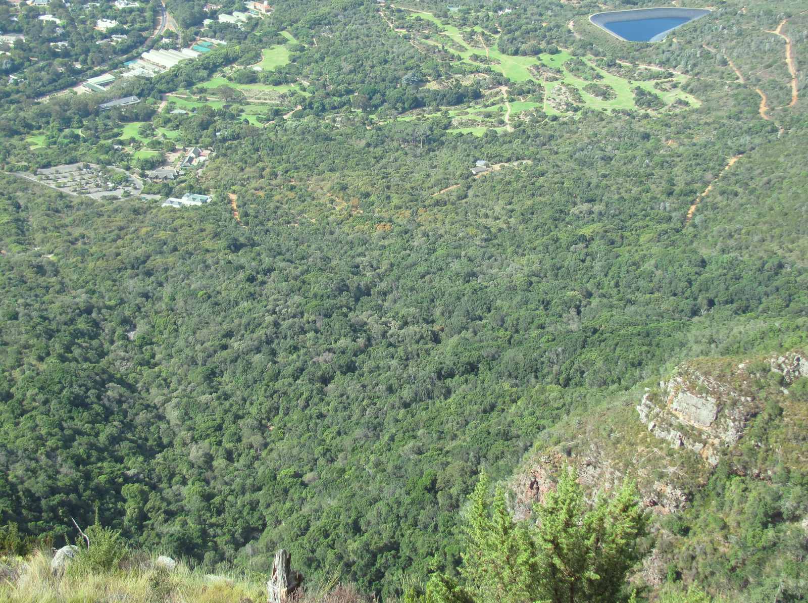 What You Can Do: Awareness, Pressure, and Respectful Distance (Image Credits: Wikimedia)