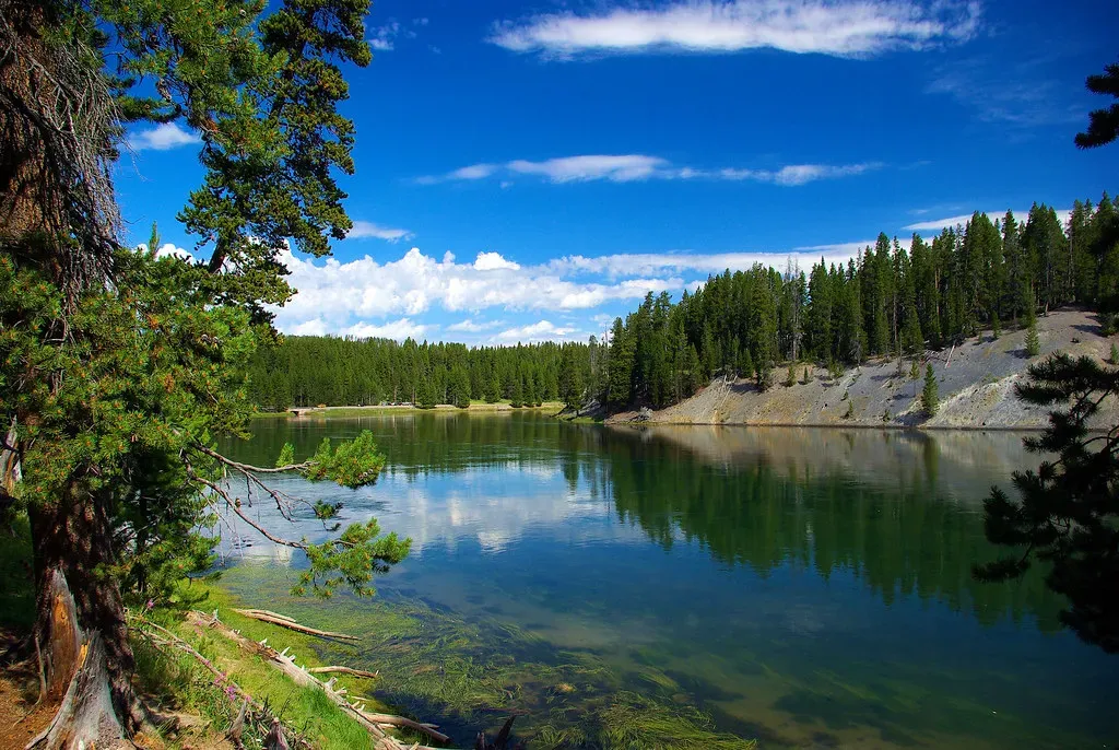 Thorofare Backcountry, Yellowstone National Park, Wyoming (Image Credits: Flickr)