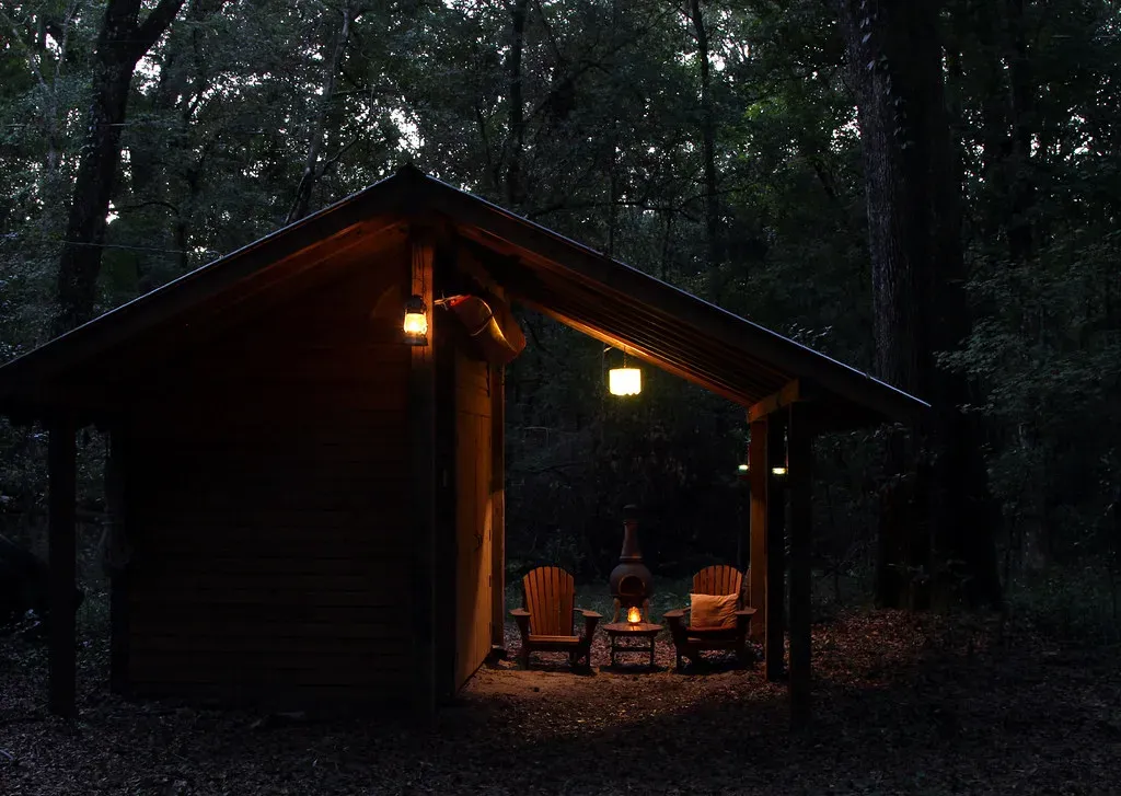 Cancer: The Woodland Nest Builder (Image Credits: Flickr)