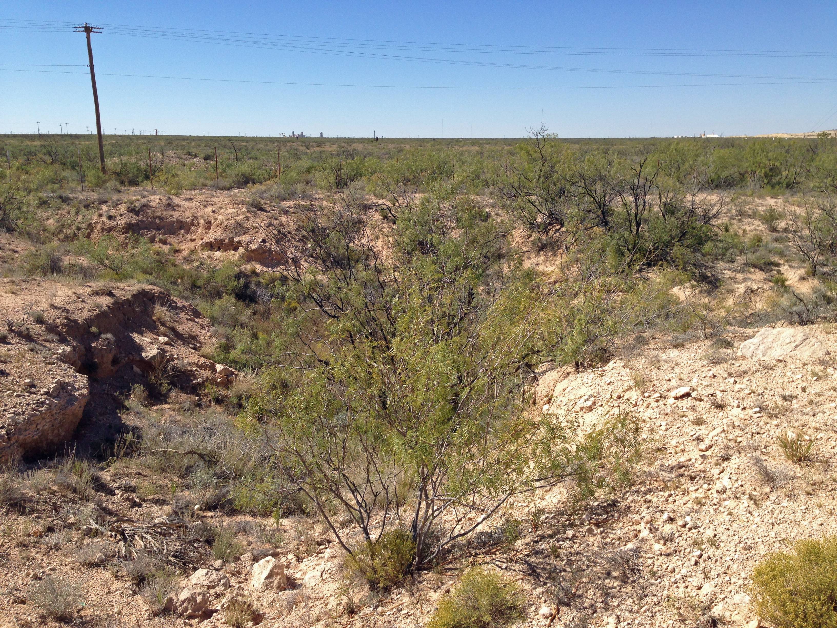 Odessa Meteor Crater, Texas (Image Credits: Wikimedia)