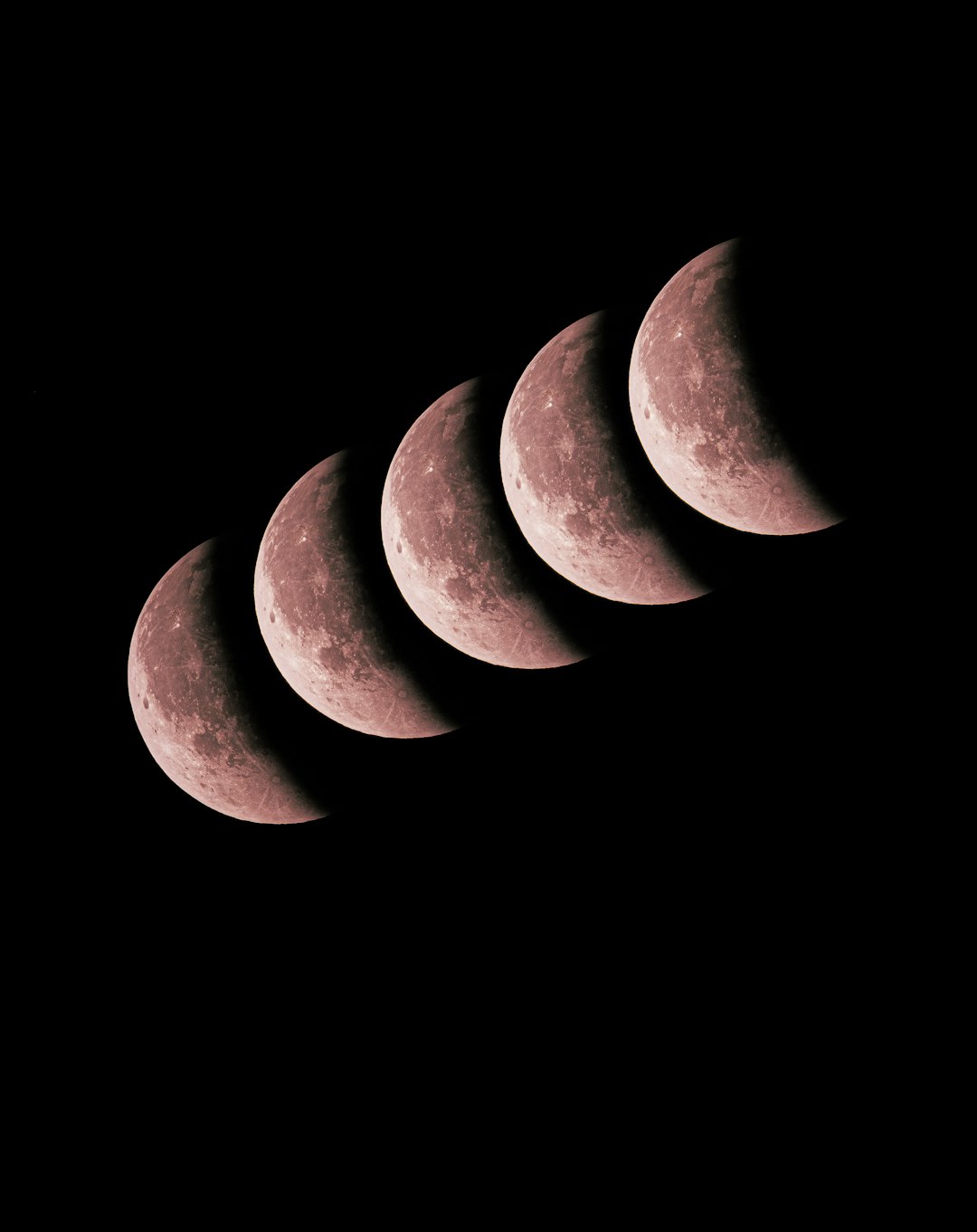 From Story to Cycle: The Science Inside the Myths (Image Credits: Unsplash)