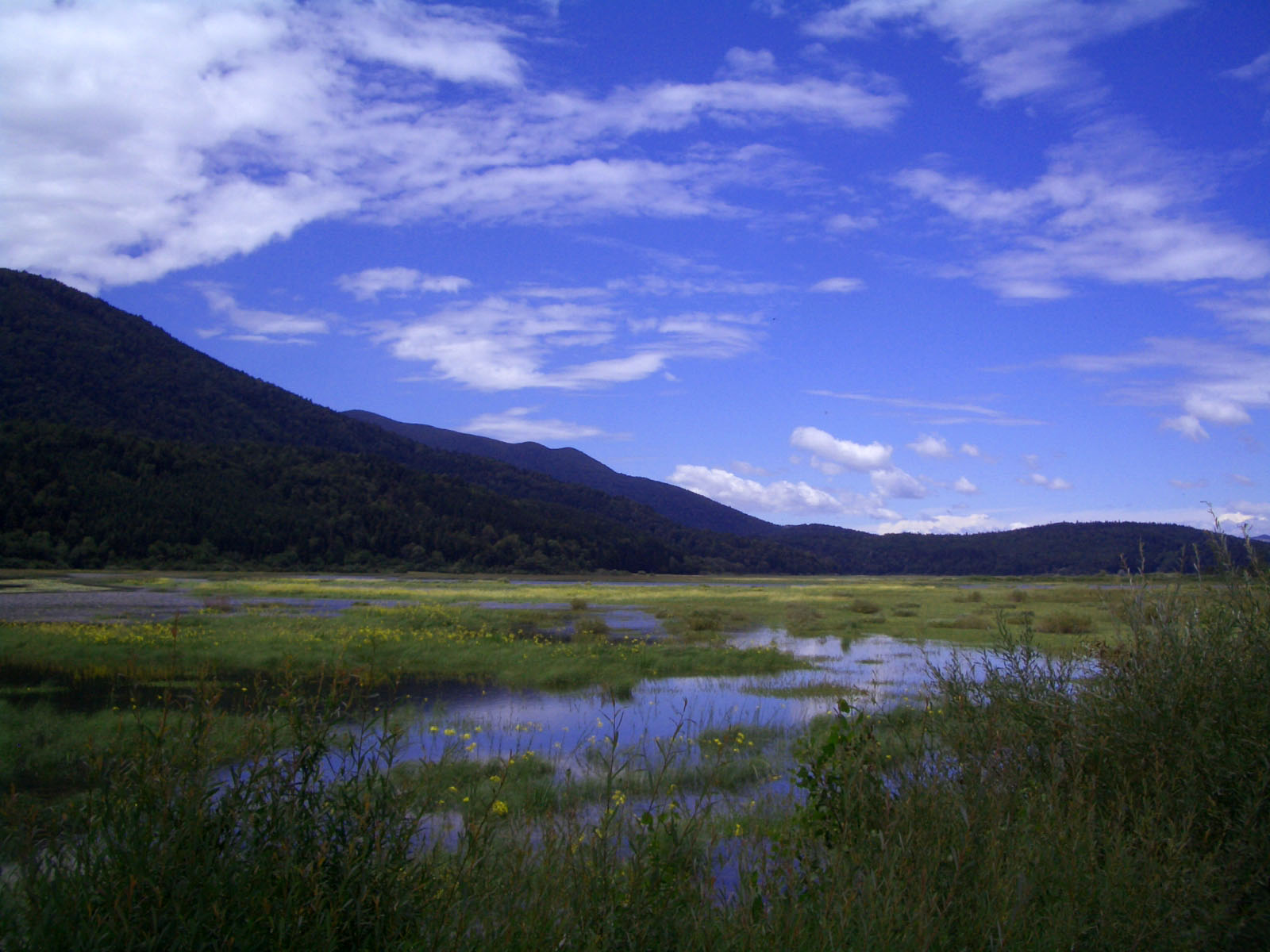 A Lake With Two Lives: Slovenia’s Lake Cerknica (Image Credits: Wikimedia)