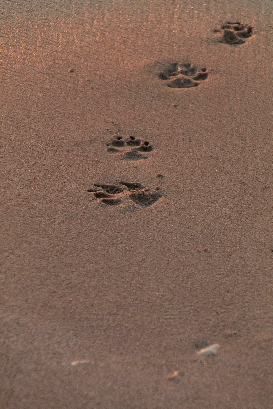 From Ancient Tools to Modern Science (Image Credits: Unsplash)