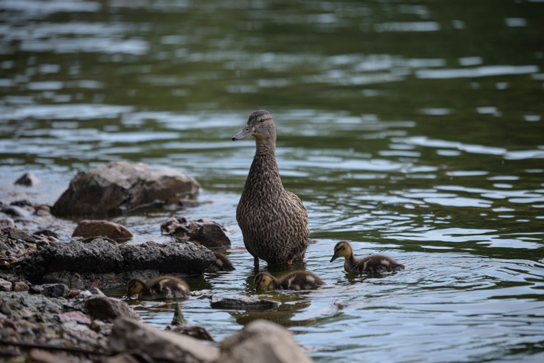Prime Hook National Wildlife Refuge, Delaware (Image Credits: Unsplash)