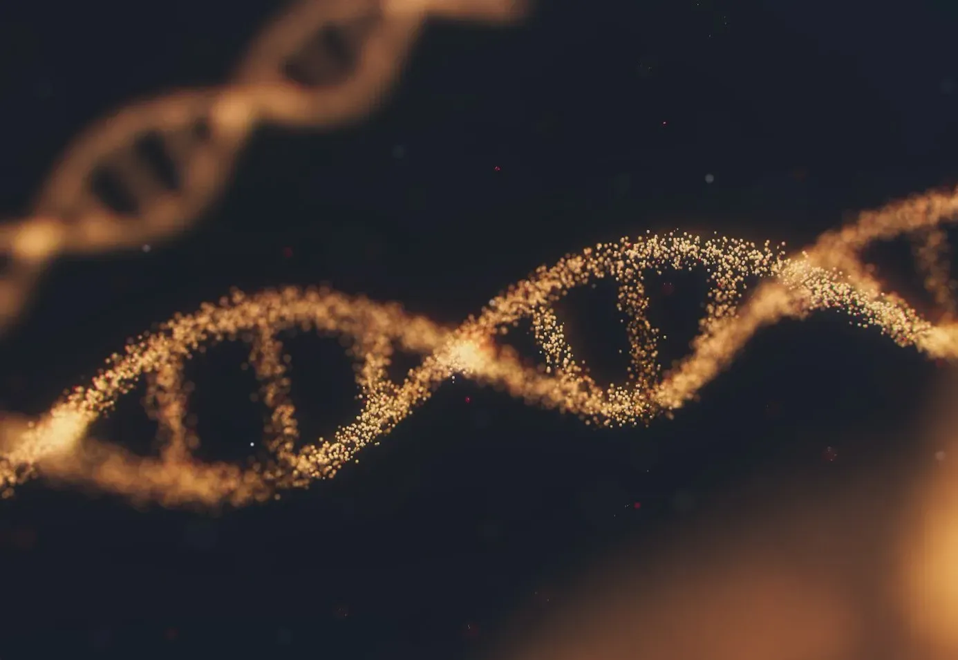 6. Ancient DNA Shows How Deeply You’re All Connected (Image Credits: Unsplash)