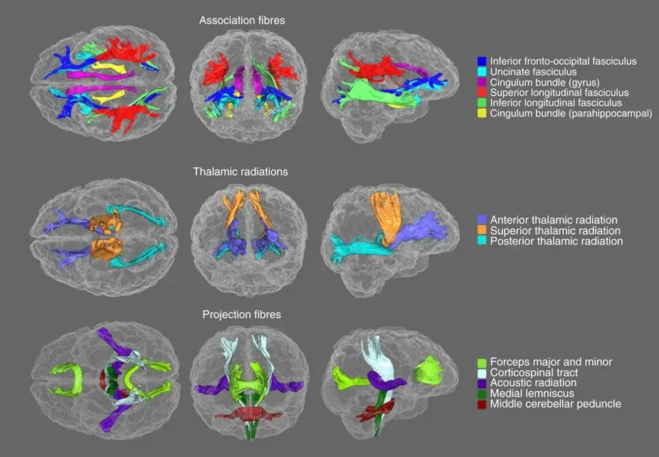 How You Can Engage With the Science of Anomalies (Image Credits: Wikimedia)