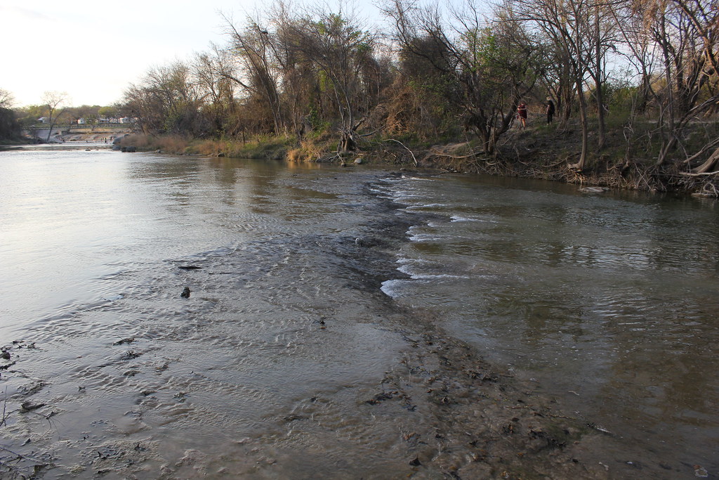 Texas Gulf Coast Mangrove Protection Shields Communities (Image Credits: Flickr)