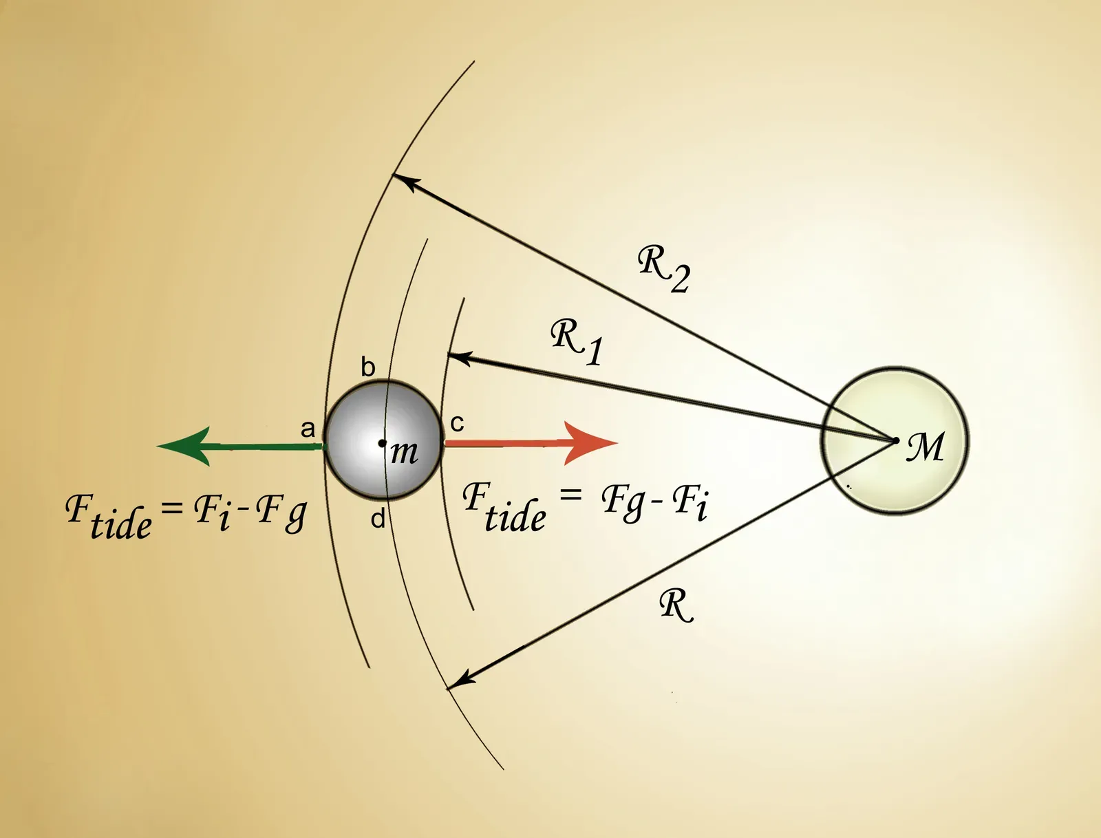 The Hidden Clues: What Your Death Would Reveal About Spacetime (Image Credits: Wikimedia)