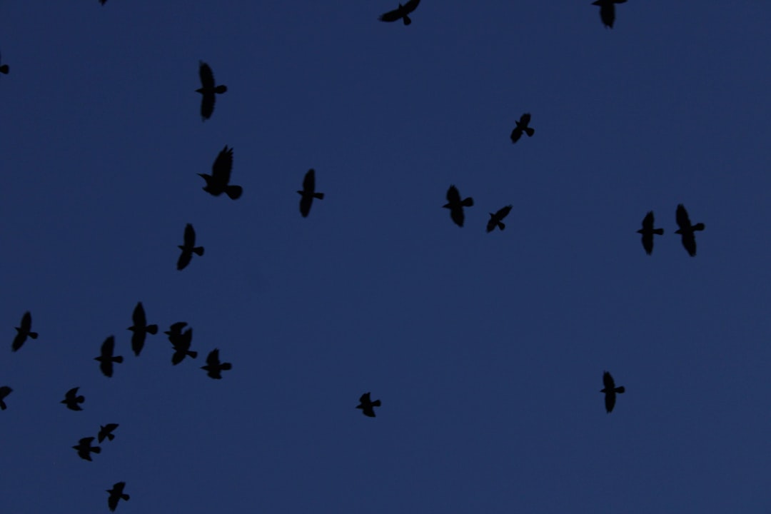 Global Perspectives (Image Credits: Unsplash)