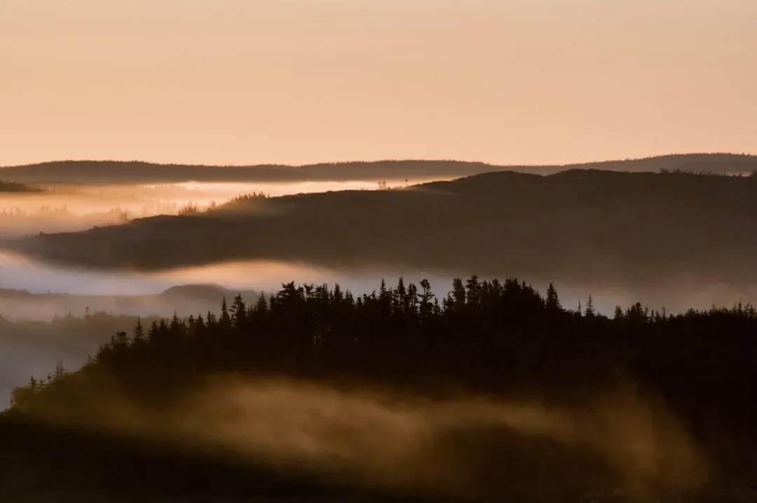 Conclusion: Mystery, Evidence, and Our Hunger for the Unknown (Image Credits: Unsplash)