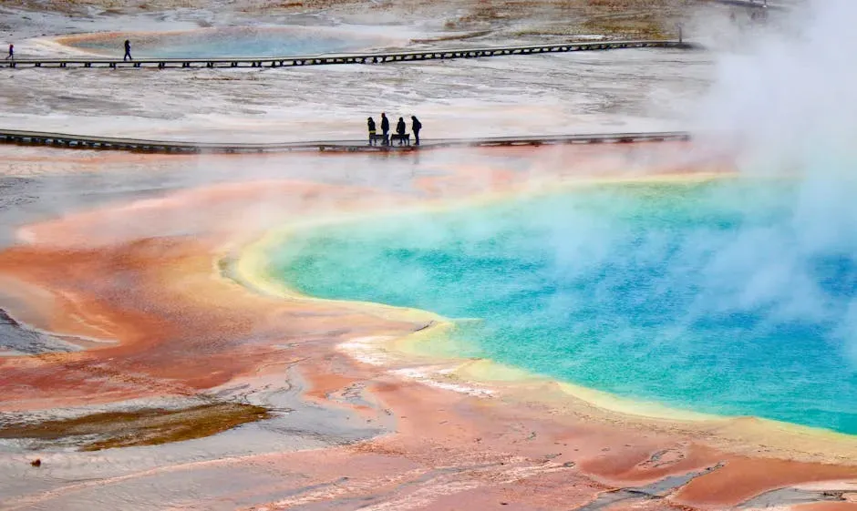 What Scientists Are Actually Seeing Right Now (Image Credits: Pexels)