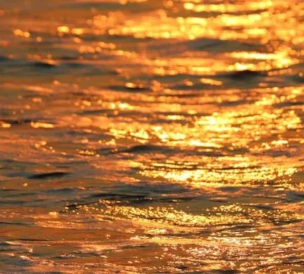What a colour like this does to the living world around you (Image Credits: Pexels)