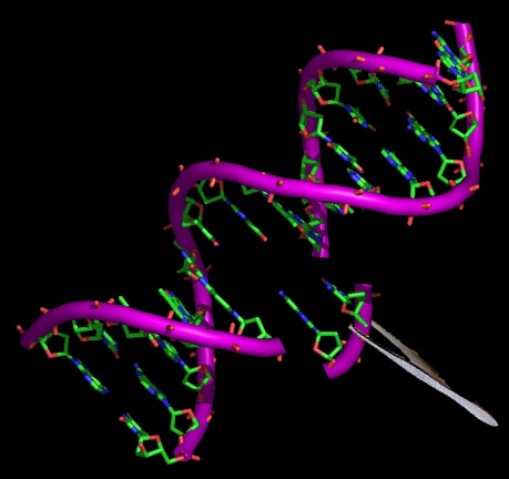 The Massive Scale of Genetic Engineering Required (Image Credits: Wikimedia)