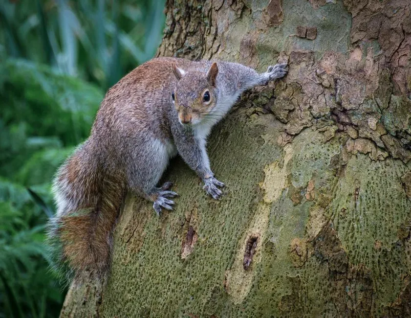 #3 - Species Arise Through Natural Selection (Image Credits: Pexels)