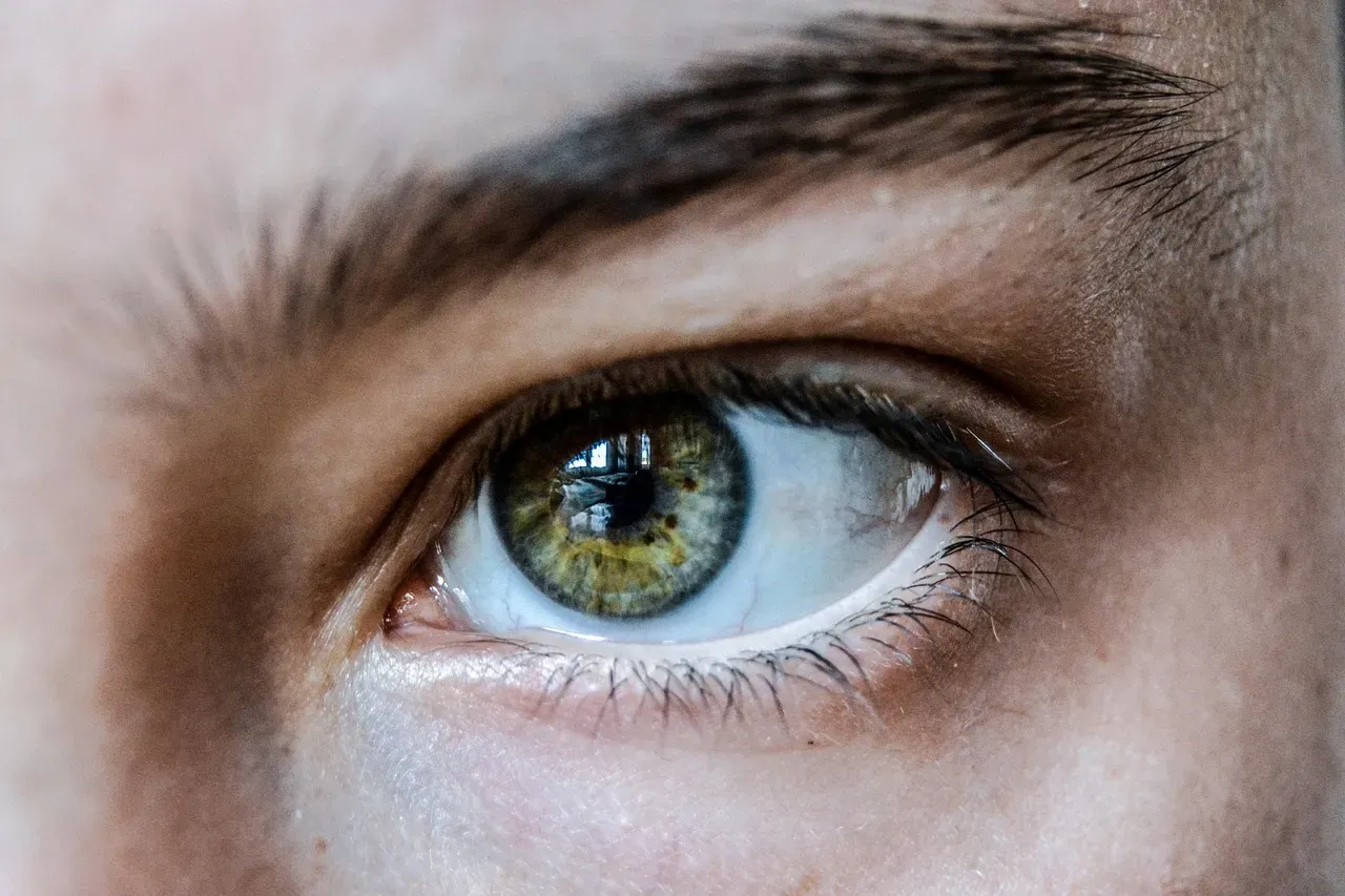 Your Vision Is Not the Default: How Human Eyes Limit What You See (Image Credits: Pixabay)