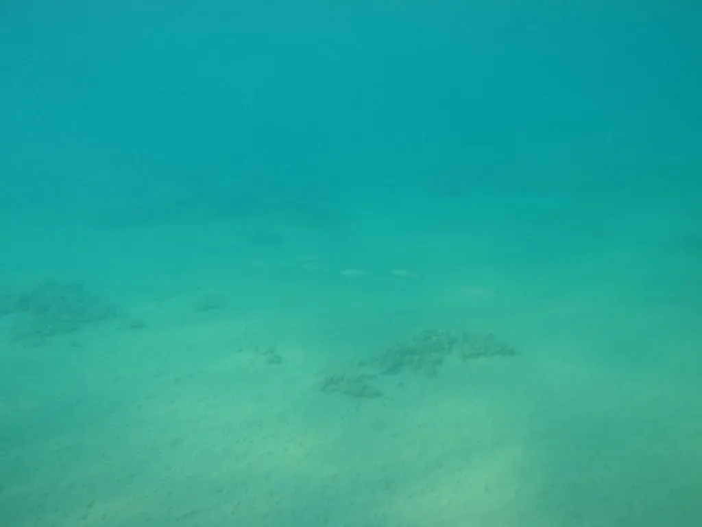 You Are Only Just Beginning To Explore This Hidden World (dimsis, Flickr, CC BY-SA 2.0)