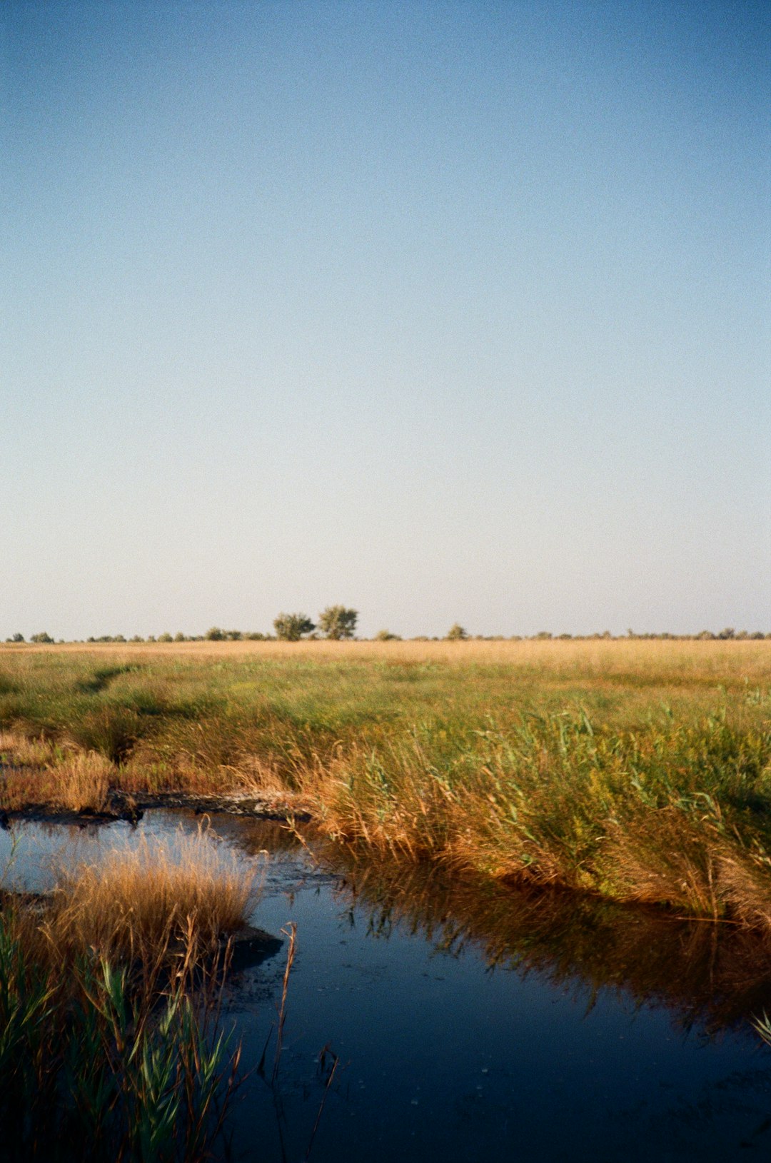 San Francisco Bay, California - Horizontal Levees Deliver Natural Defenses (Image Credits: Unsplash)