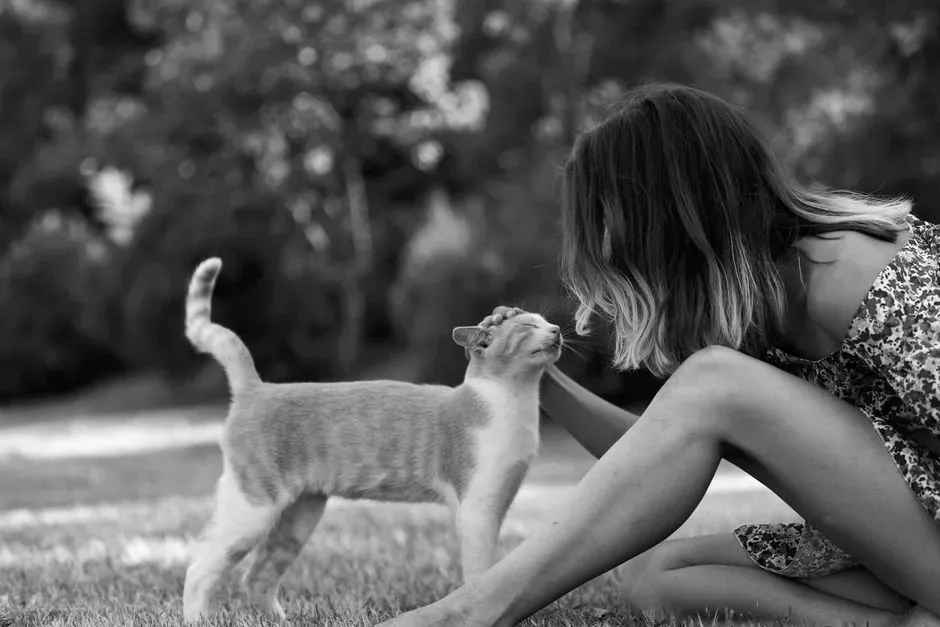 Are We Overestimating Pets’ Minds – And Does It Even Matter? (Image Credits: Pexels)
