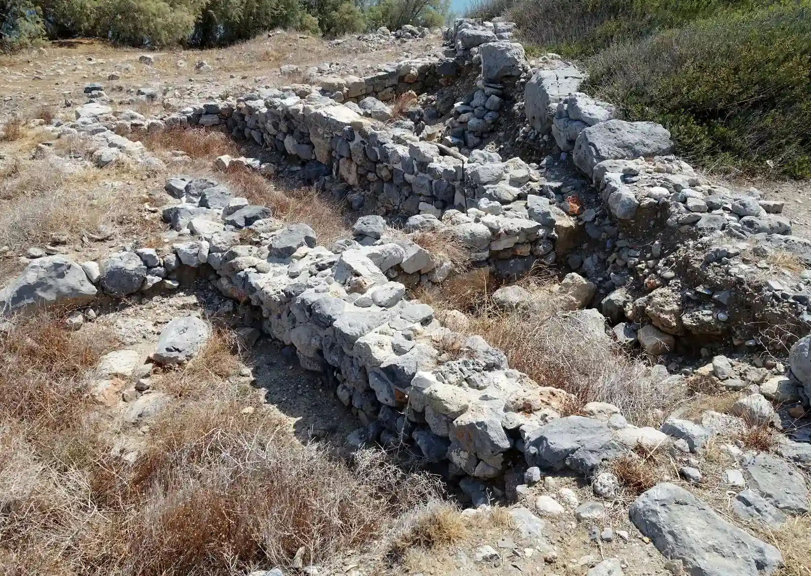 3. Buttermilk Creek / Debra L. Friedkin Site (Texas, USA): A Long, Deep Record of Human Presence (Image Credits: Wikimedia)