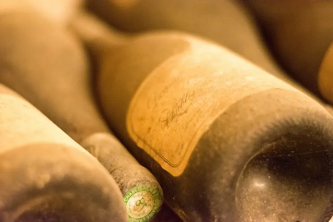 #16 - The “World's Oldest” Bottle of Wine Under UV Scrutiny (Image Credits: Unsplash)