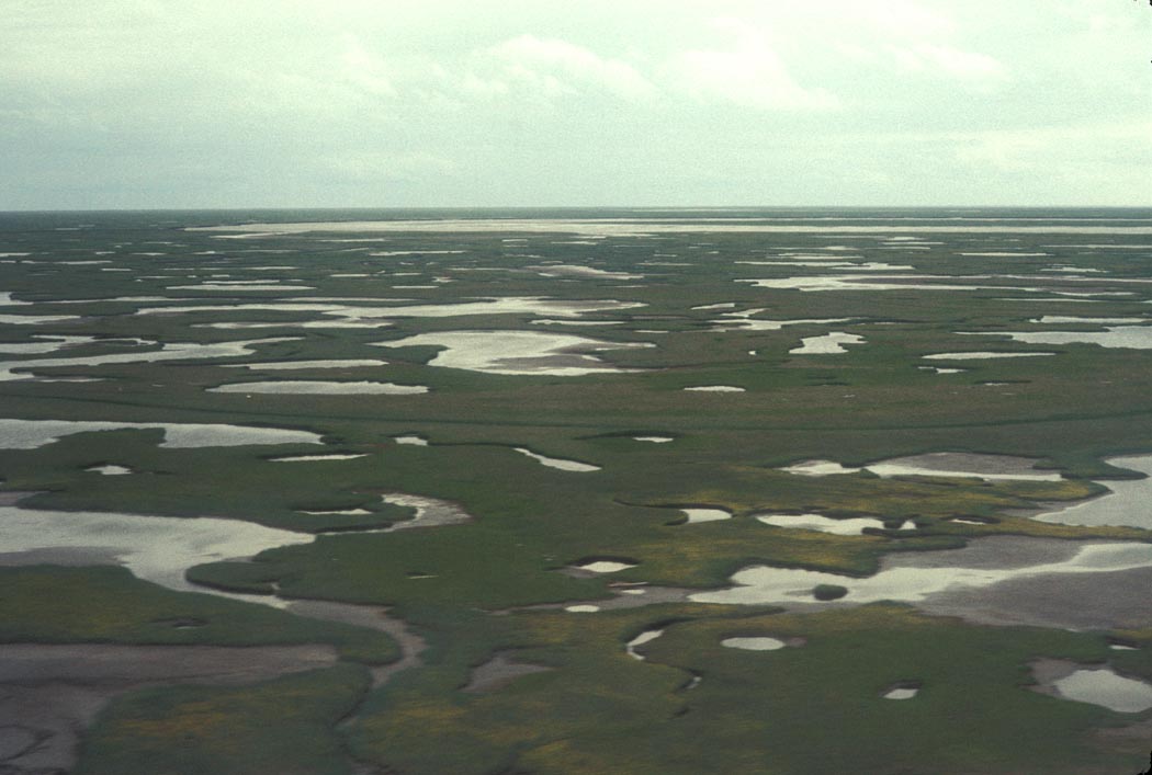 Yukon–Kuskokwim Delta (Alaska) (Image Credits: Wikimedia)