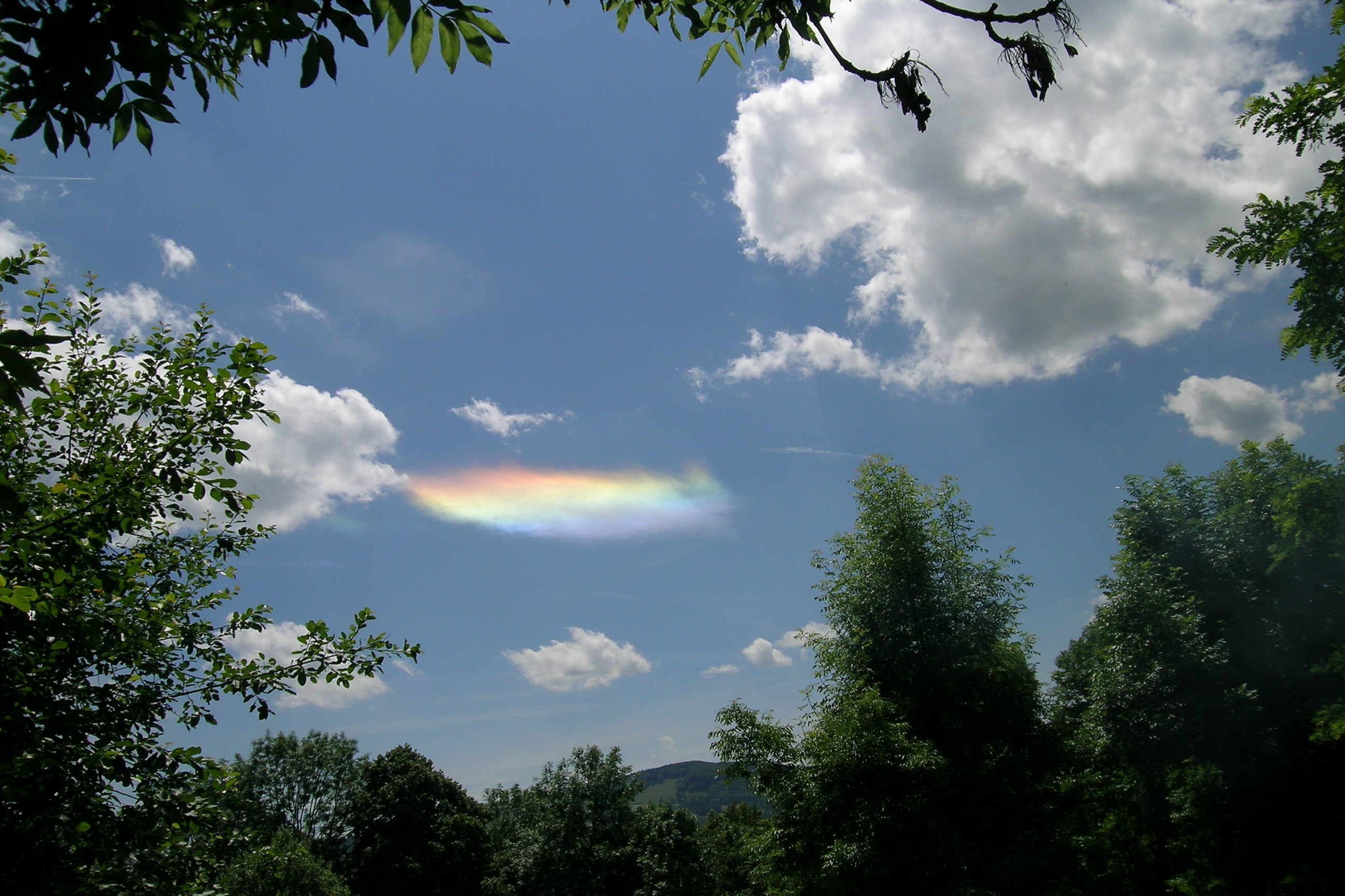 Geographic Lottery of Visibility (Image Credits: Wikimedia)
