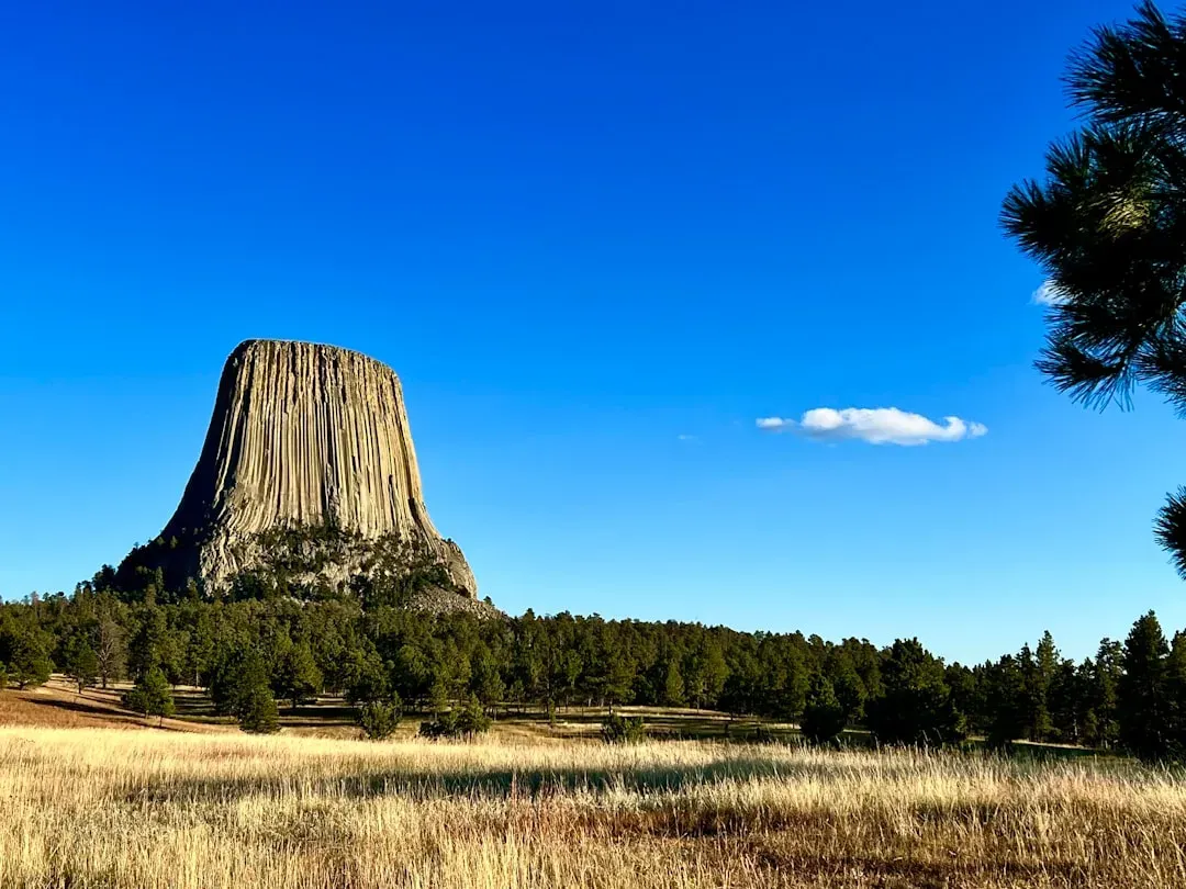 Devils Tower, Wyoming, USA (Image Credits: Unsplash)