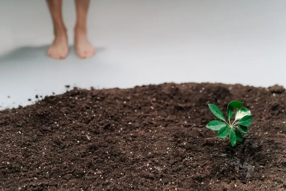 #1 - The Living Microbiome Beneath Your Feet Runs the Entire System (Image Credits: Pexels)