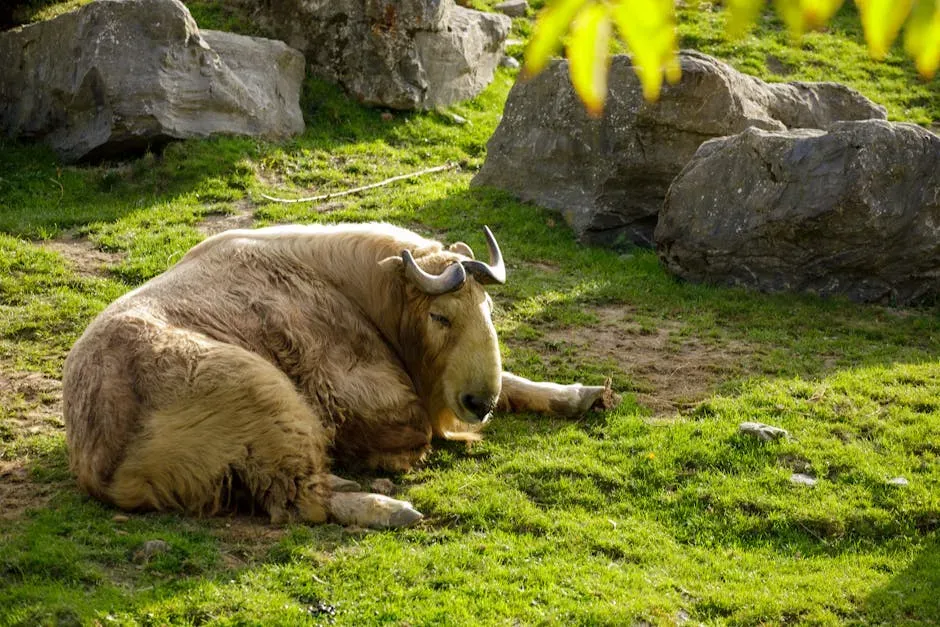 Conclusion: The World Is Wilder Than You Think (Image Credits: Pexels)