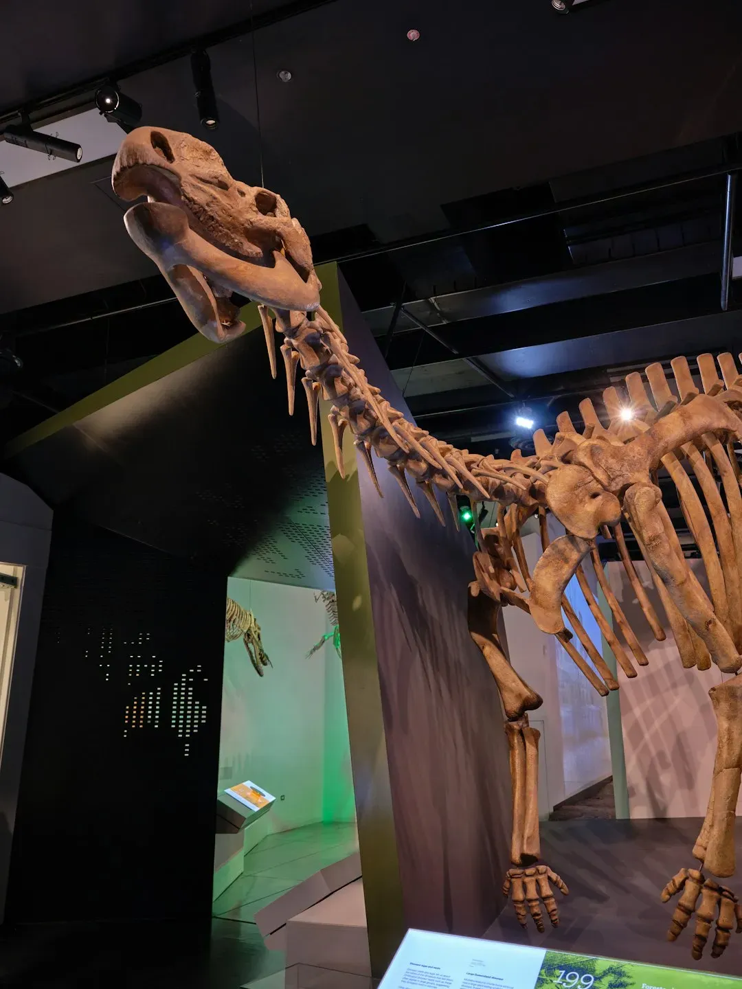 How You Can Engage: From Museum Halls to Citizen Science (Image Credits: Unsplash)