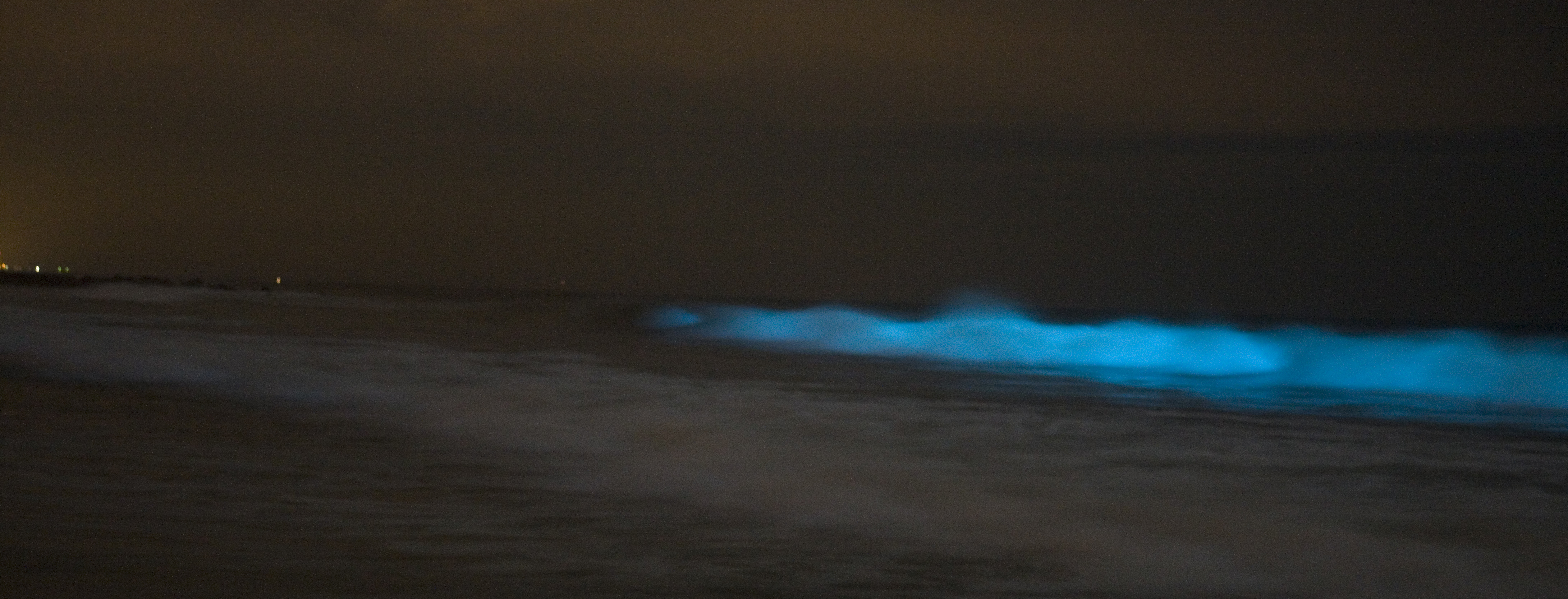La Jolla Shores, California - Red Tides That Turn Electric (Image Credits: Wikimedia)