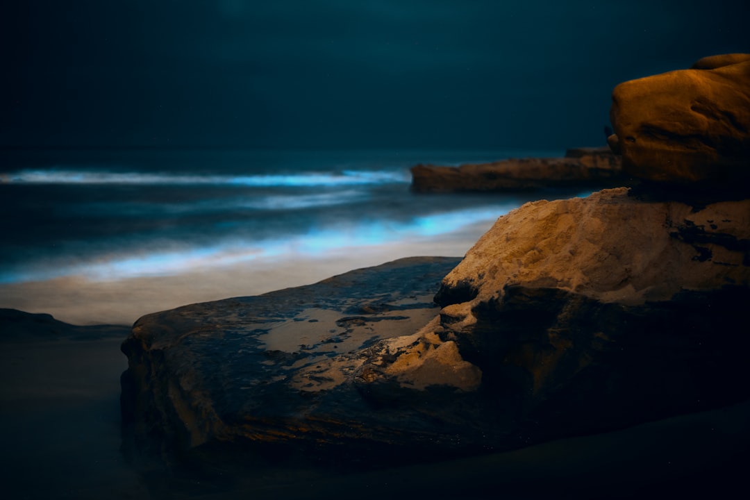 California's Glowing Coastline Phenomenon (Image Credits: Unsplash)