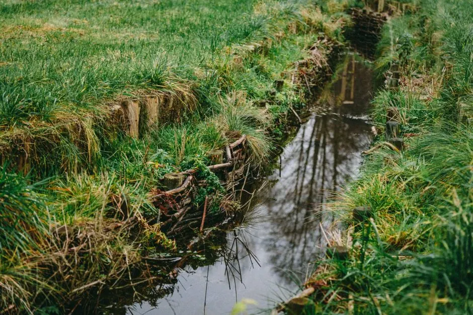 #7: Groundwater Levels Shift and Seepage Increases (Image Credits: Pexels)