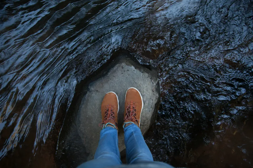 Exposed Roots: When You Stand on the Skeleton of Ancient Mountains (Image Credits: Stocksnap)