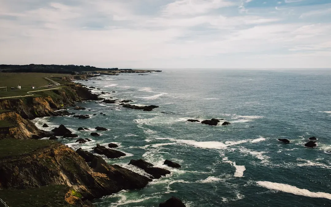The Bottom Line (Image Credits: Unsplash)
